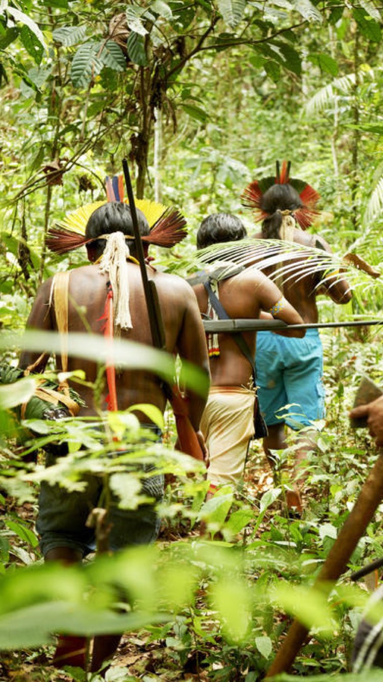 Indigenous peoples in rainforest