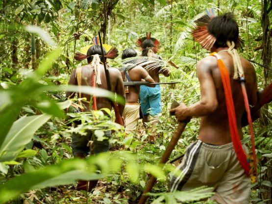 Indigenous peoples in rainforest